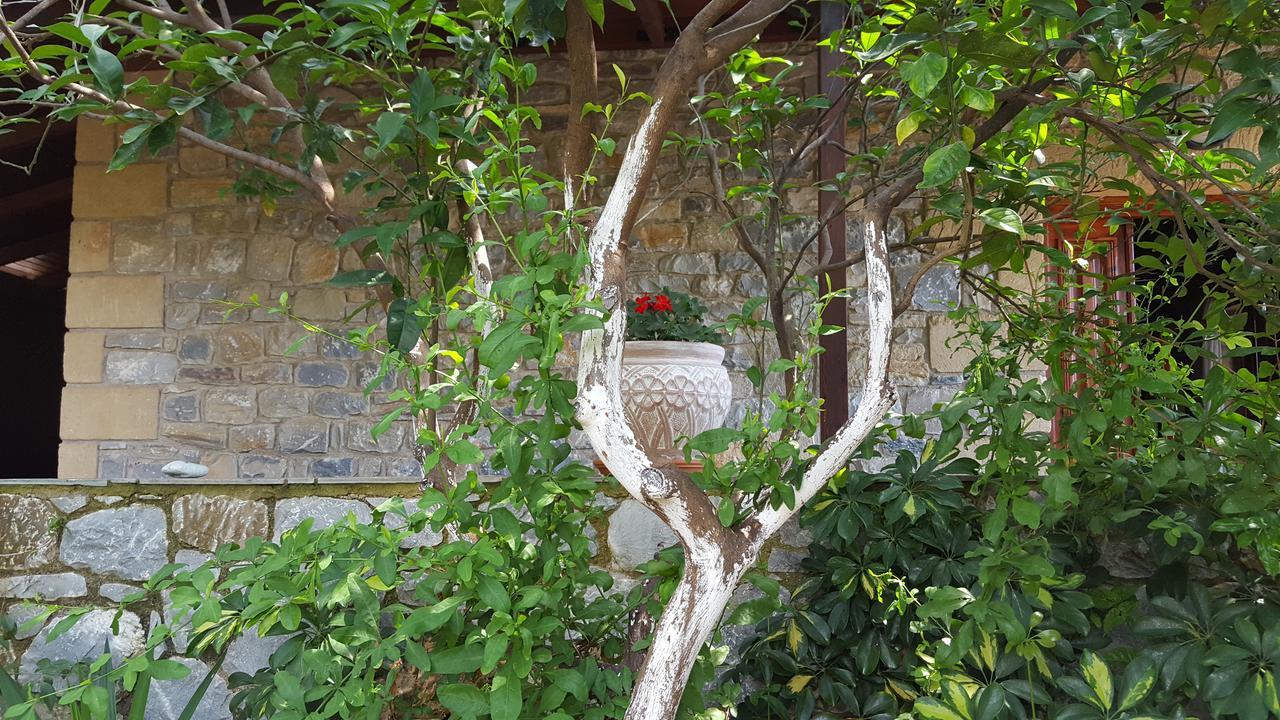 Villa Onar A Stone House With Amazing View Stoúpa Exterior foto